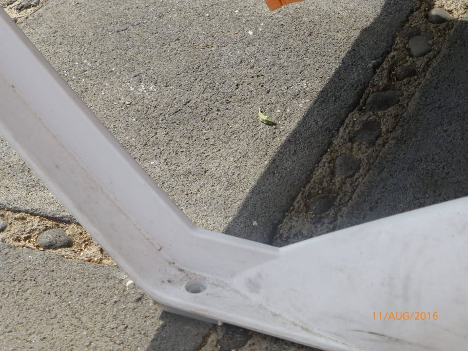 Liegen Be Live Tenerife - Adults only