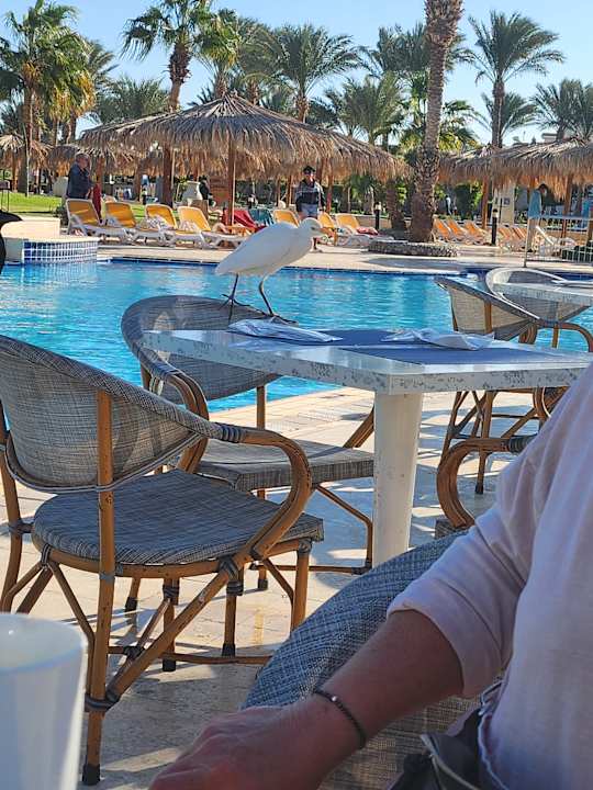 Pool Hurghada Long Beach Resort