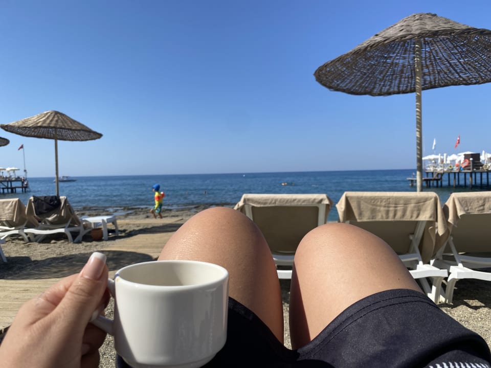 Strand Dizalya Palm Garden