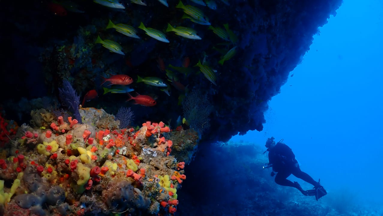 Boutique Beach All Inclusive Diving Hotel Boutique Beach All Inclusive Diving Hotel