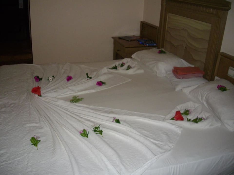 Das spricht doch alles für sich Club Turtas Beach Hotel