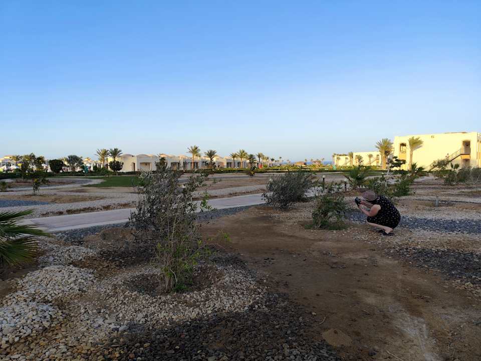 Außenansicht Amarina Queen Resort Marsa Alam