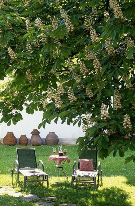 Outside picture Landhofmühle