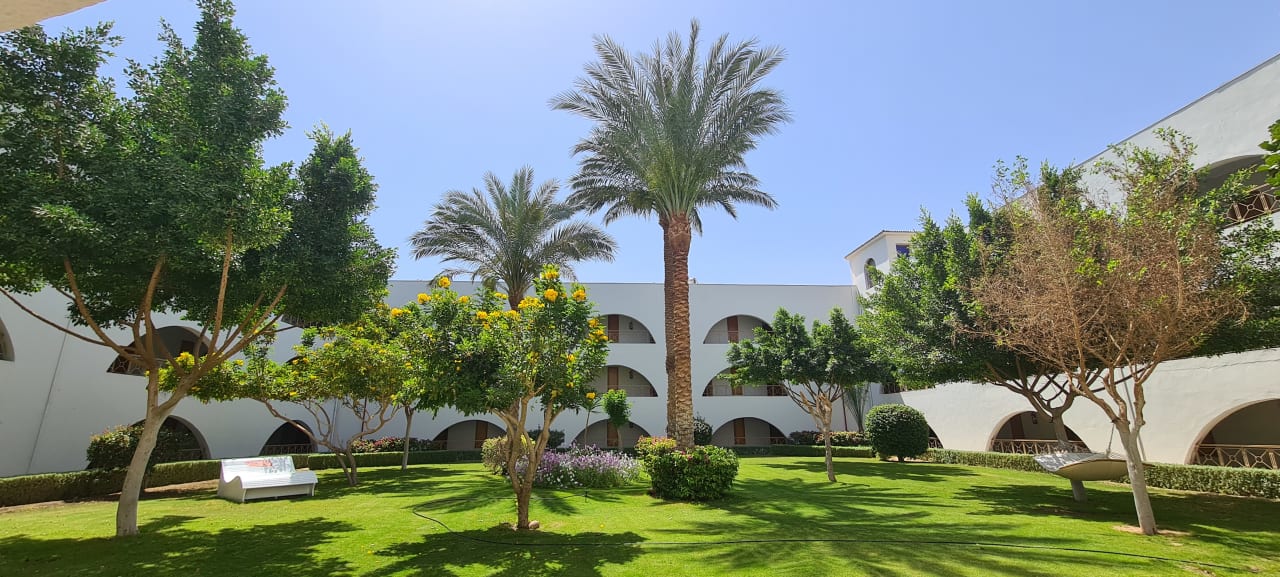 Gartenanlage Desert Rose