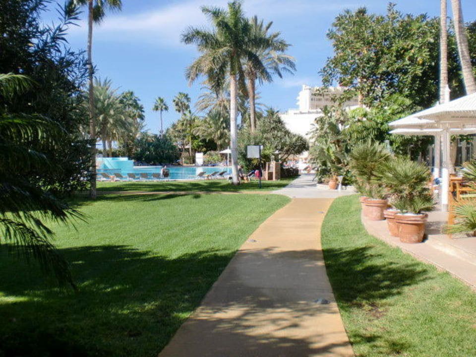 Garten Blick auf den Pool ROBINSON JANDIA PLAYA