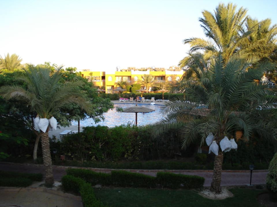 Blick aus dem Zimmer Golden Beach Resort