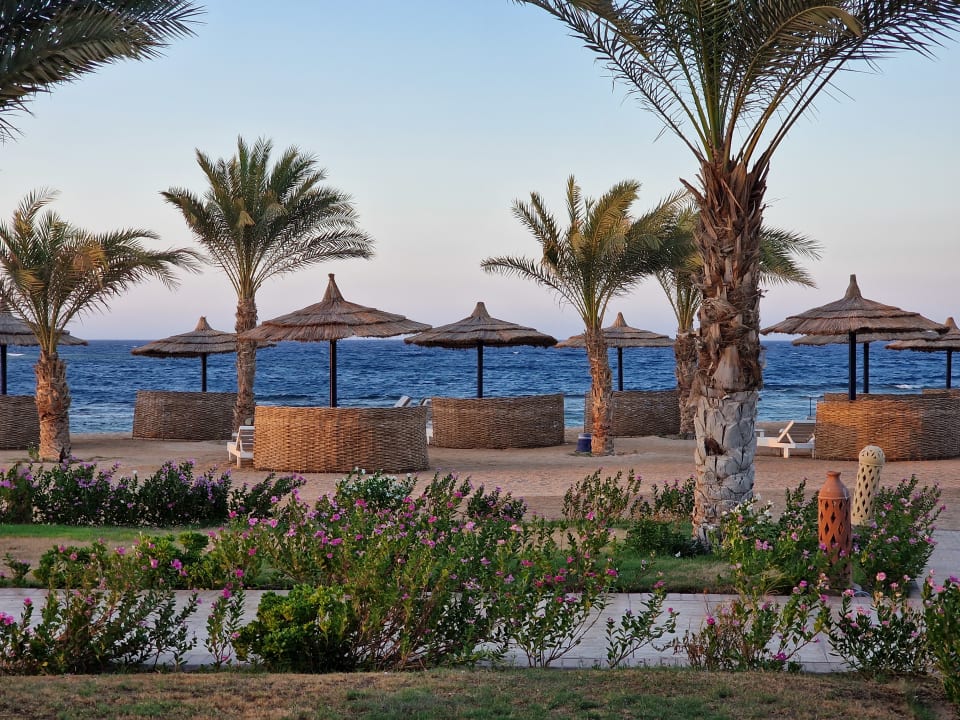 Strand Coral Sun Beach