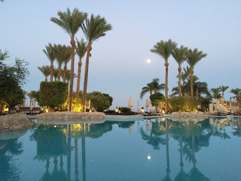 Pool Makadi Spa - Adults only