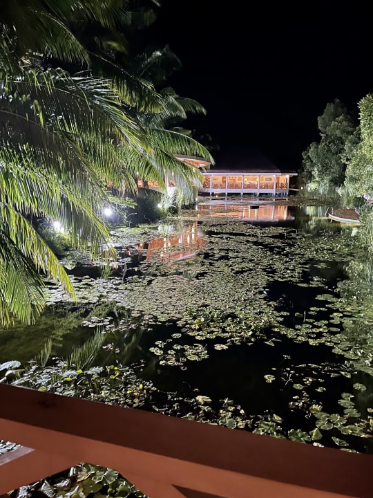 Gartenanlage Dreamland The Unique Sea & Lake Resort / Spa
