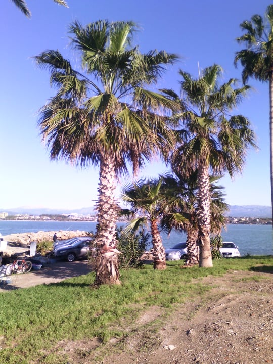 Strand Side Miami Beach