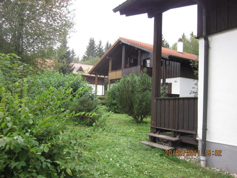 Blick ins Waldferiendorf Waldferiendorf Regen