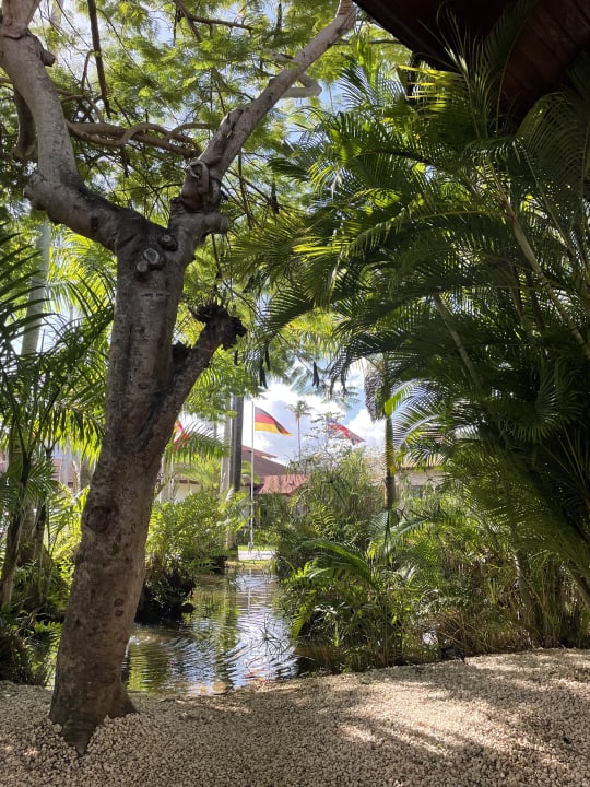 Gartenanlage Hotel Grand Palladium Palace Resort, Spa & Casino