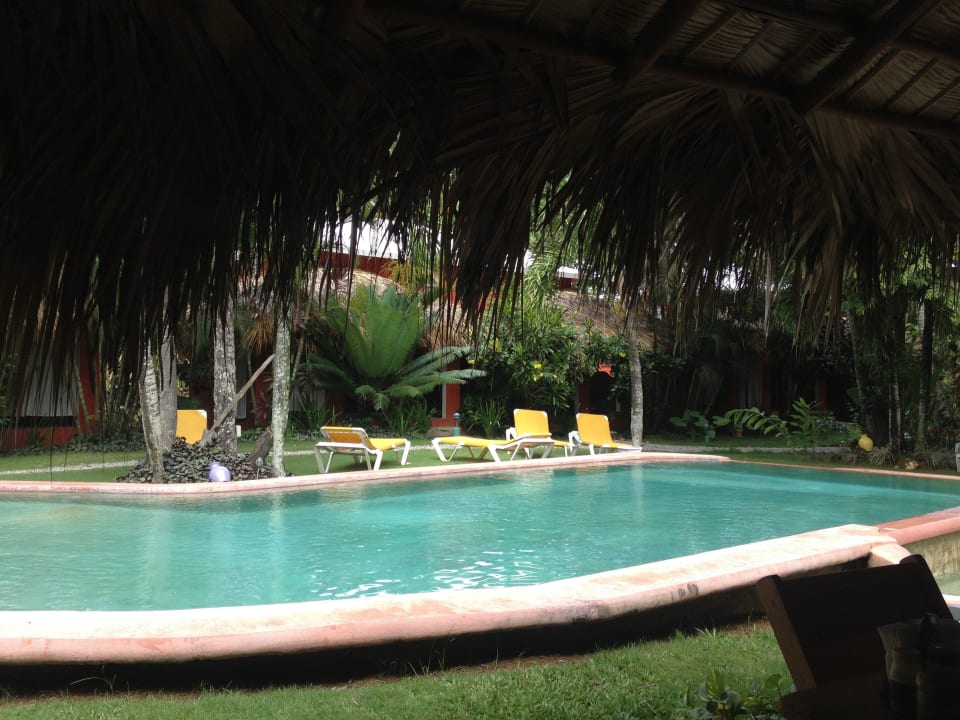 Swimming pool Hotel La Tortuga