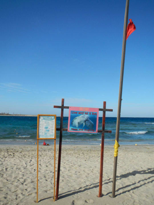 Seekühe leider nicht in der Bucht Malikia Resort Abu Dabbab