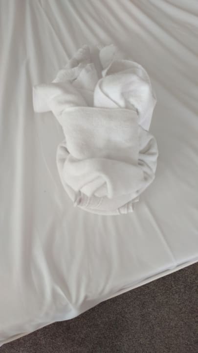 Zimmer Hotel Mena Palace