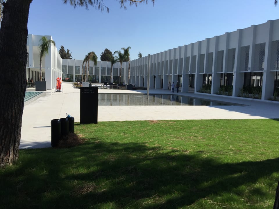 Außenanischt Paloma Finesse