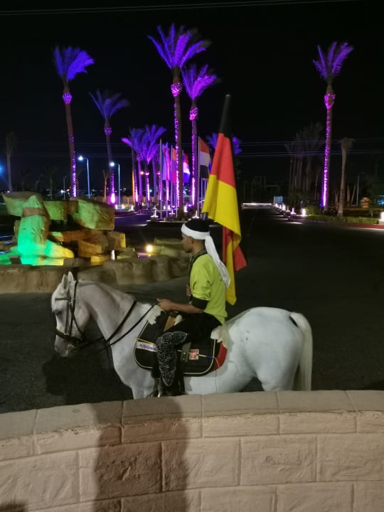 Sonstiges Pickalbatros Alf Leila Wa Leila Resort - Neverland Hurghada