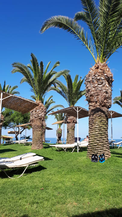 Gartenanlage Crystal Springs Beach Hotel