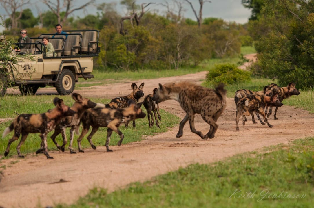 Sport & Freizeit Inyati Game Lodge