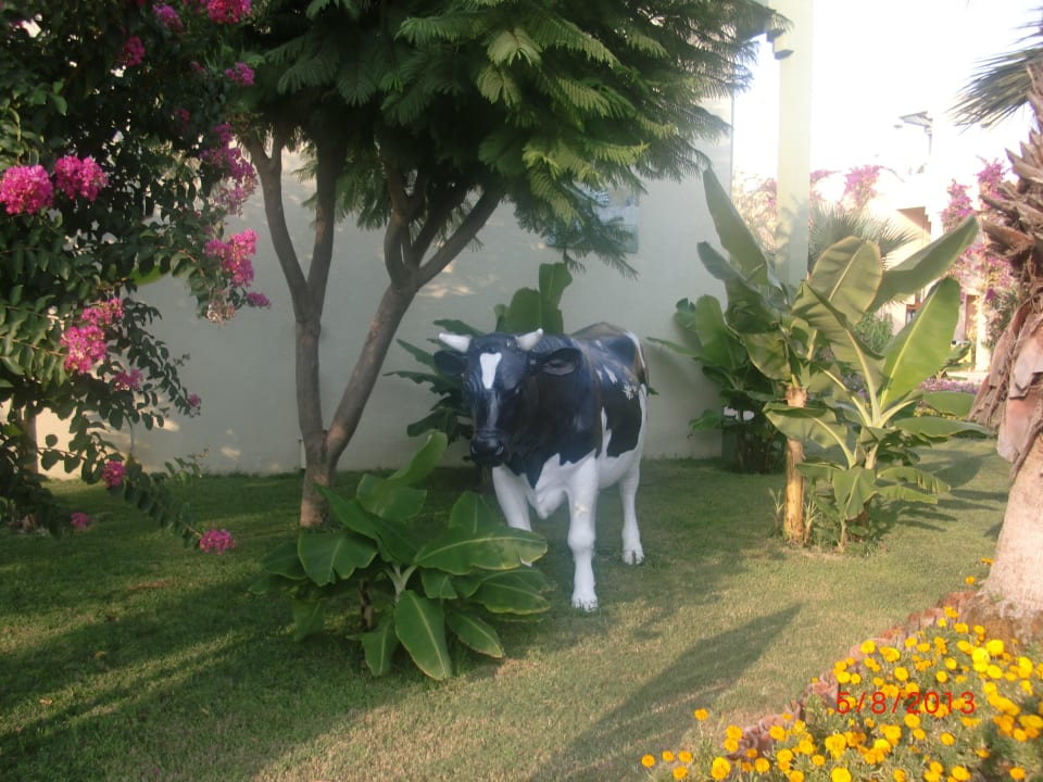 VON Club Golden Beach VONRESORT Golden Beach