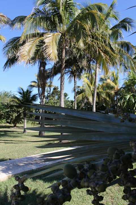 Ogórd w Tuxpanie Hotel Tuxpan Varadero