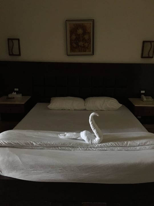 Das hat Mohammed gut gemacht oder ? Pickalbatros Alf Leila Wa Leila Resort - Neverland Hurghada