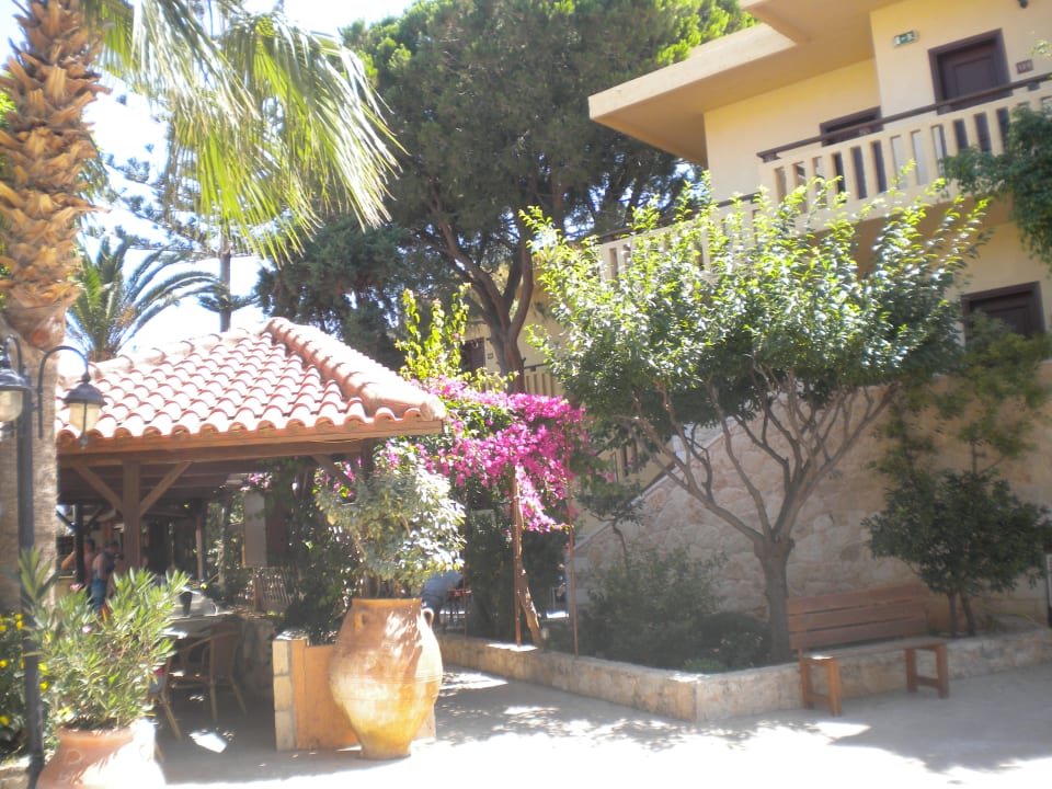 Sonstiges Cactus Beach