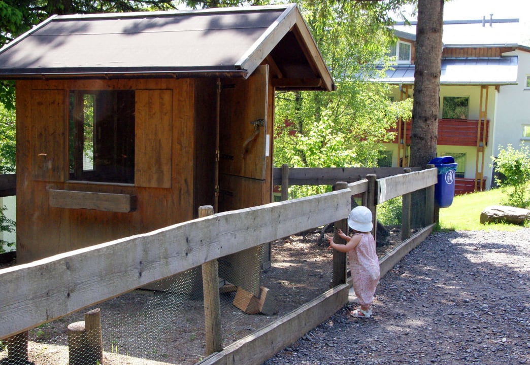Hauseigener Minizoo Oberjoch - Familux Resort