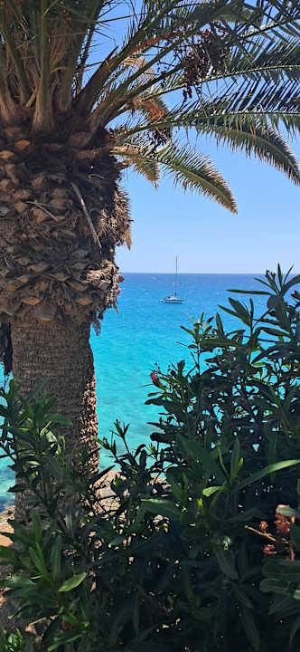 Sonstiges Servatur Alameda de Jandía