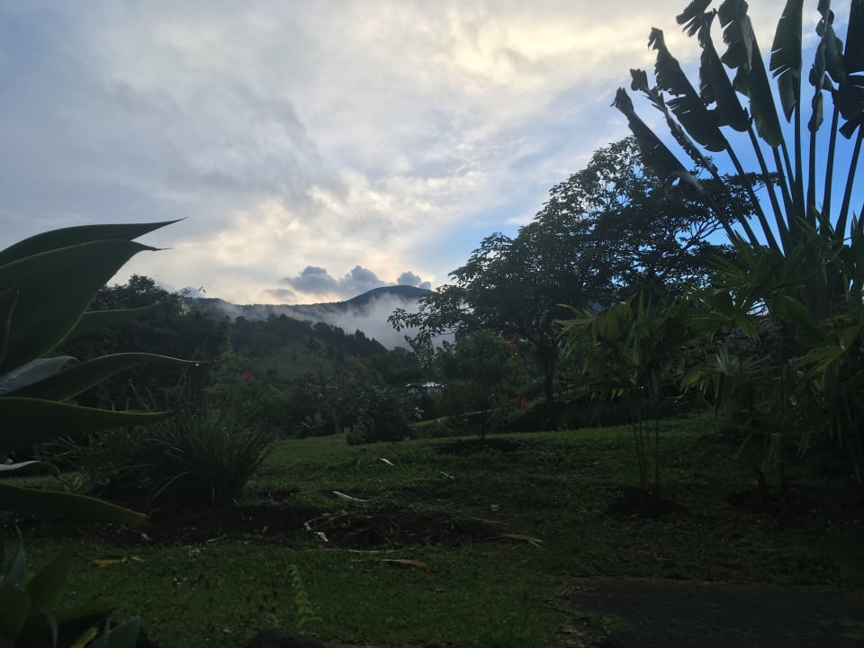 Ausblick Hotel Guayabo Lodge