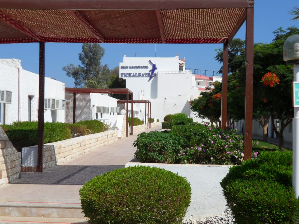 Blick zum Hauptgebäude Albatros Sharm Resort