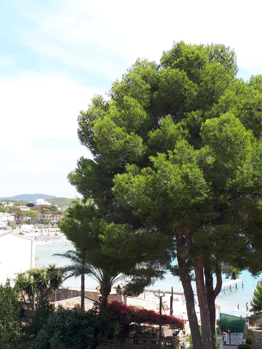 Ausblick FLOR los Almendros Hotel
