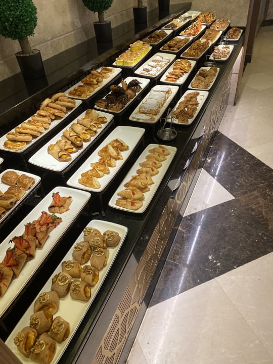 Gastro Papillon Ayscha