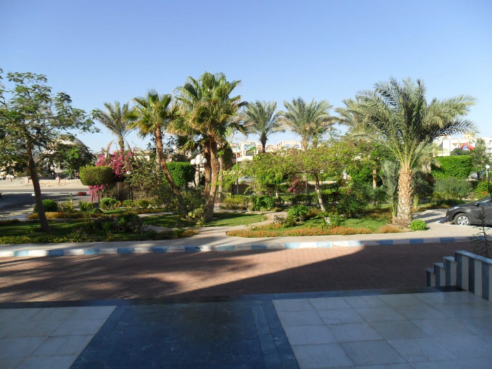 Giardino davanti all'entrata Blue Reef Red Sea Resort