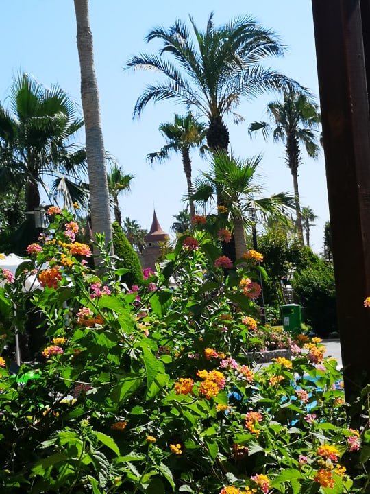 Gartenanlage Belek Beach Resort Hotel