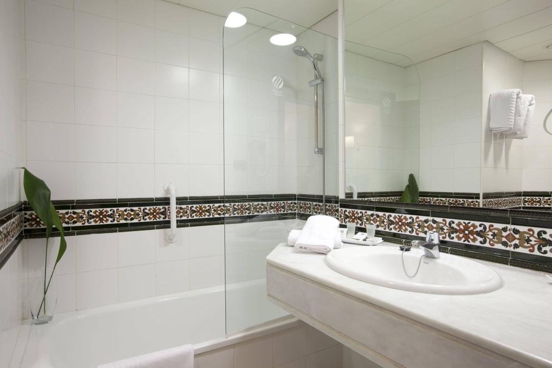 Baño Hotel Porcel Alixares