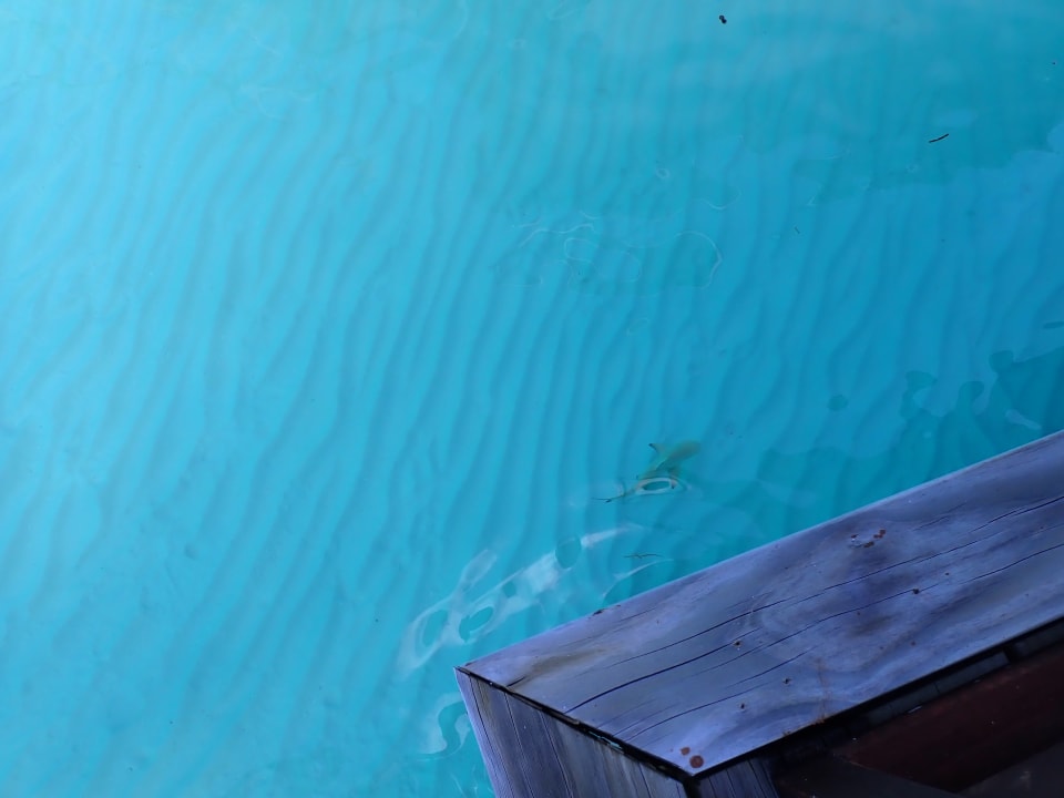 Ausblick NH Collection Maldives Havodda Resort