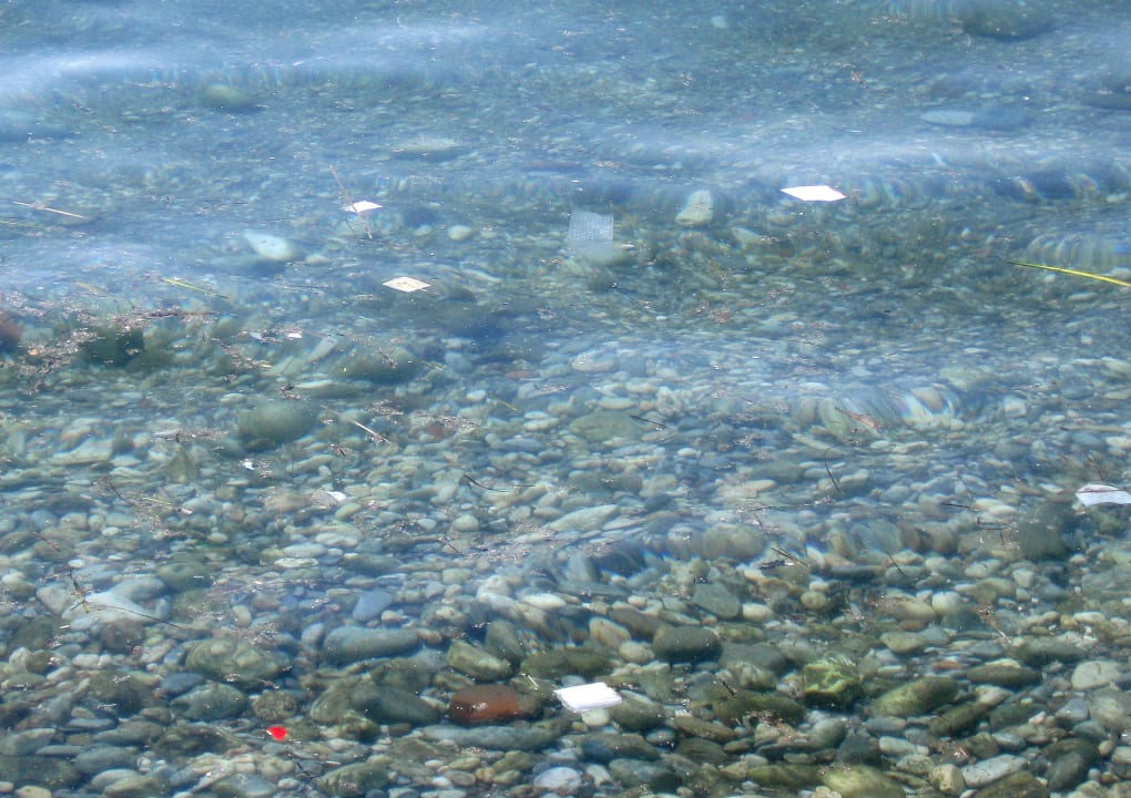 Tageweise miese Wasserqualität Kustur Club Holiday Village