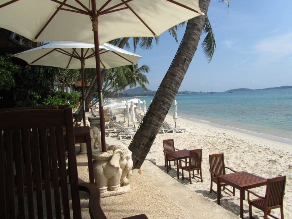 Ausblick vom Frühstück auf den Strand Samui Paradise Chaweng Beach Resort & Spa