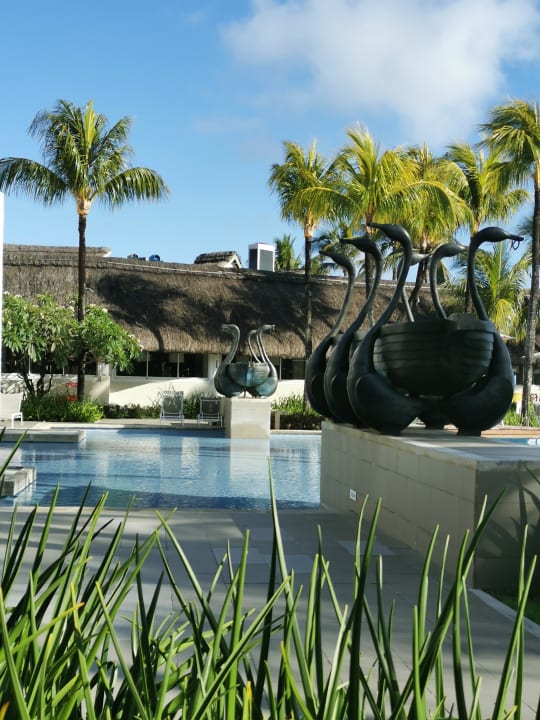 Pool Ambre Mauritius