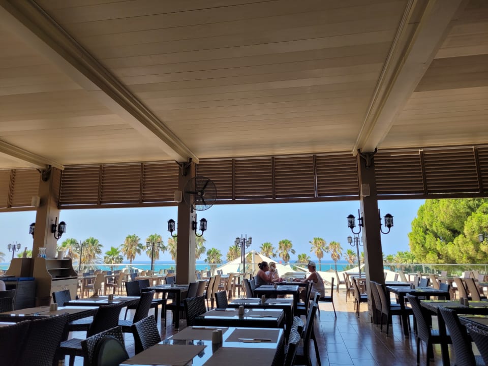 Gastro Paloma Oceana