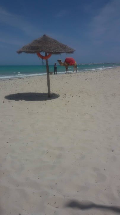 Keine "Menschen-Karawane" Sentido Djerba Beach
