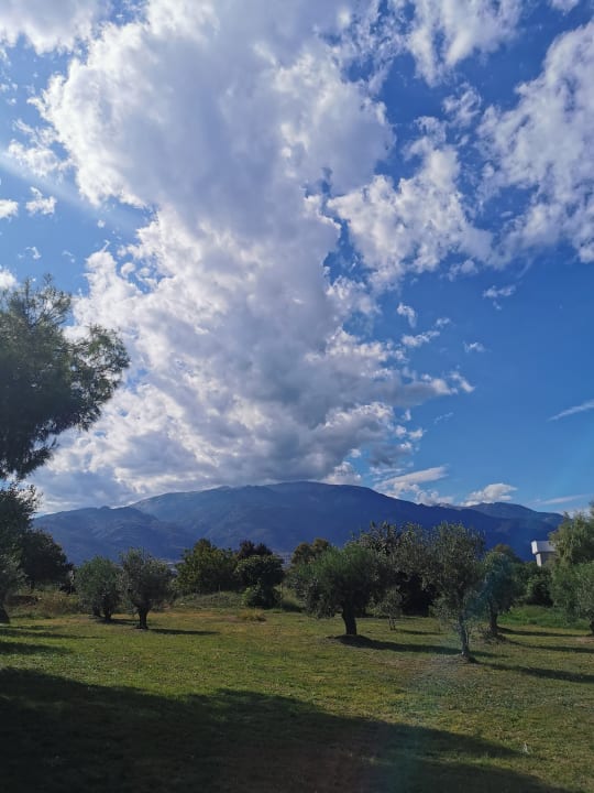 Ausblick alltoura Club Hotel Poseidon Palace