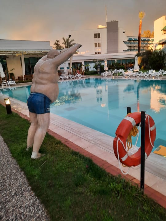 Pool Side Star Elegance