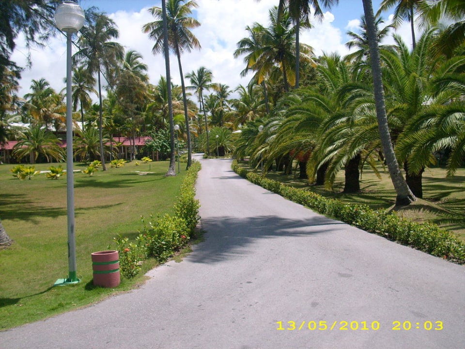 Riesig aber gemütlich Grand Palladium Punta Cana Resort & Spa