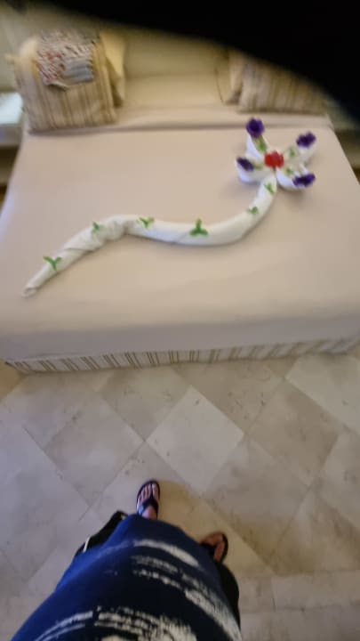 Zimmer Makadi Spa - Adults only