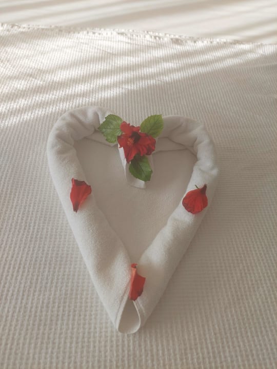 Zimmer Hotel Royal Garden Beach