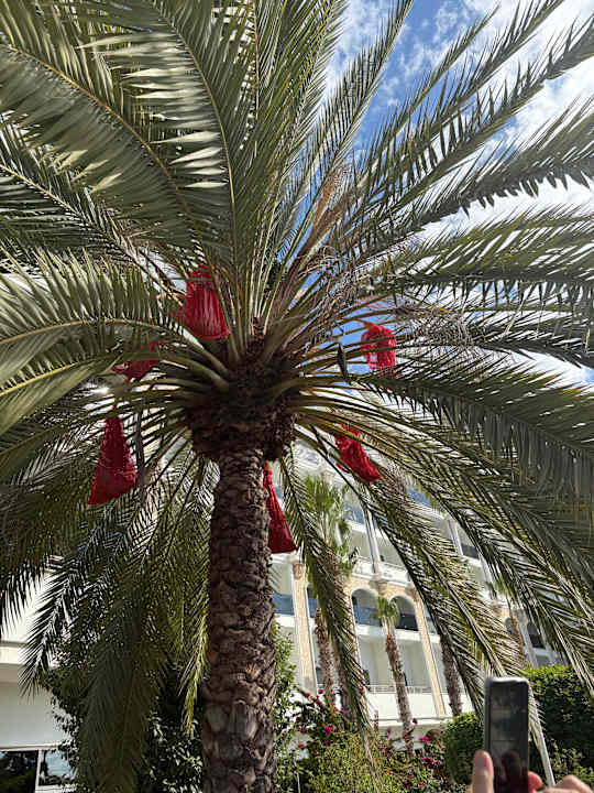 Gartenanlage Diamond Premium Hotel & Spa