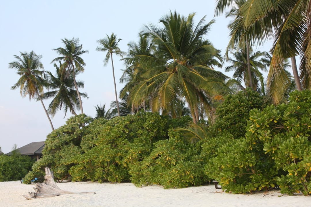 Seite der Strandbungalows Kuredu Island Resort & Spa