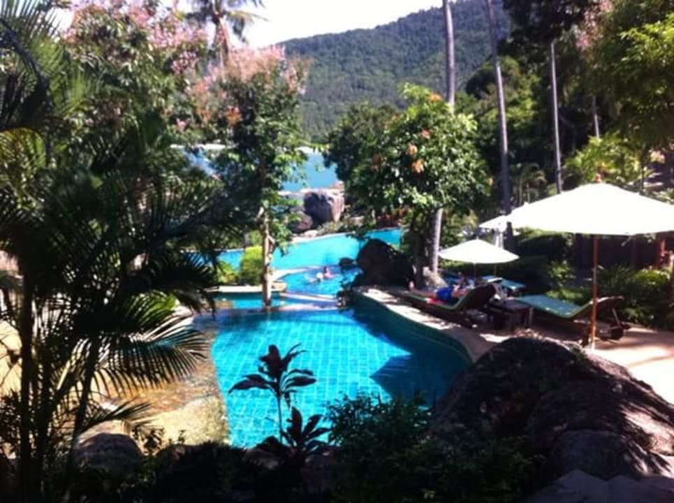 Traumhafte Poolanlage  Panviman Resort Koh Phangan